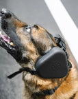 4Paws Aviation K-9 Ear Muffs