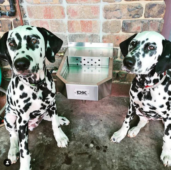 DK Stainless Pet Rehydration Station