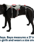 Ruffwear DoubleBack Dog Harness