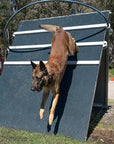 IGP A-Frame for Dog Sport