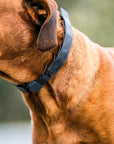 Herm Sprenger FLEXCOVER Cover for Prong Collar