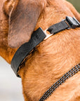 Herm Sprenger FLEXCOVER Cover for Prong Collar