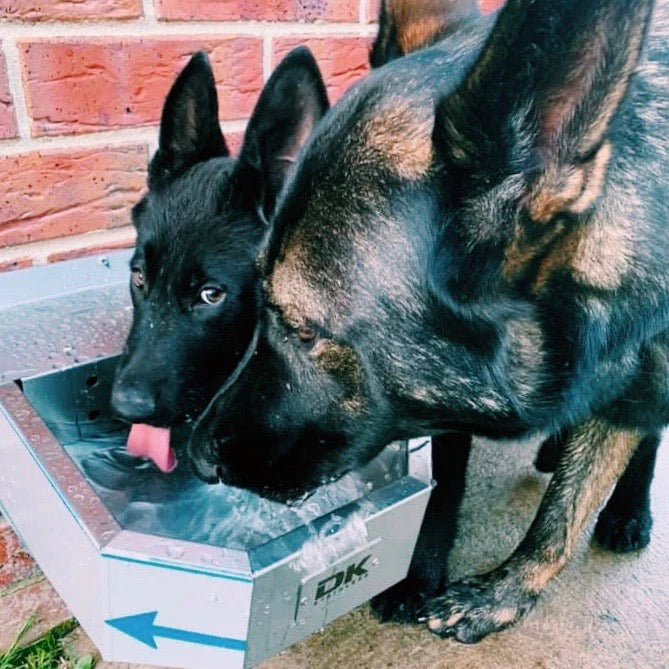 DK Stainless Pet Rehydration Station