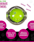 Chase 'n Chomp - AMAZING SQUEAKER BALL