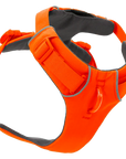 Front Range Harness - By Ruffwear