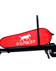 DogPACER Minipacer Treadmill