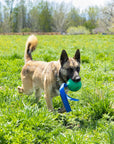KOREflex Ball & Tail