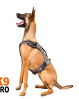 Harness & Flex Pack II By EQ DOG