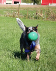 KOREflex Ball & Tail