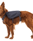Ruffwear Front Range Dog Day Pack