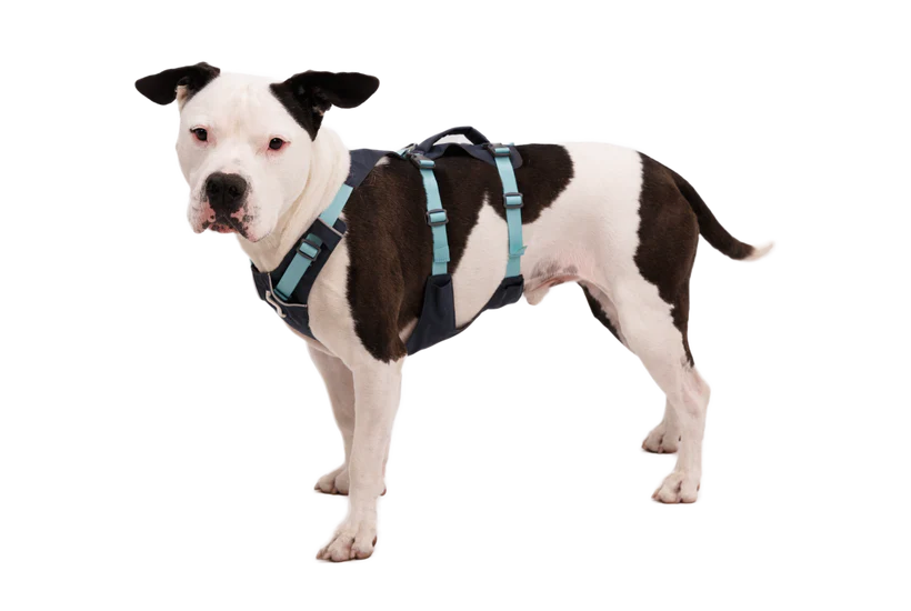 Ruffwear Flagline Harness – K9 Pro The K9 Professionals