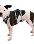 Ruffwear Flagline Harness