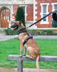 Iron Power Harness - By Euro Joe