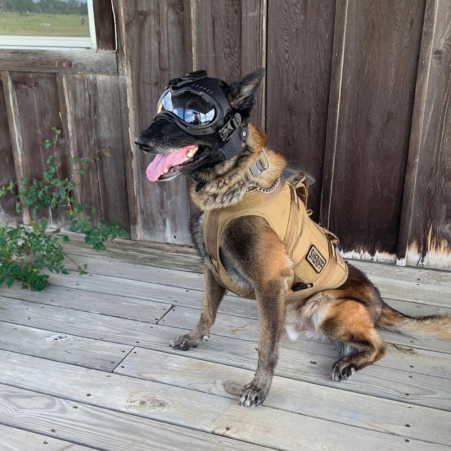 K9 Helm Helmet CS1-A2 GoggleHelm – K9 Pro The K9 Professionals