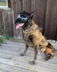 K9 Helm Helmet - CS1-A2 GoggleHelm