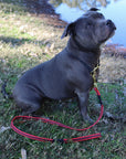 K9 Pro Grip Pro Leashes