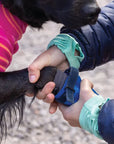 Ruffwear Hi & Light