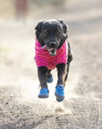 Ruffwear Hi & Light