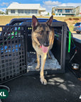 DK Stainless Single Bay Dog Crate