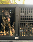 DK Stainless Double Bay Dog Crate / Ute Tray - Tub