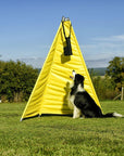 Multi Ball Ball dropper for dogs