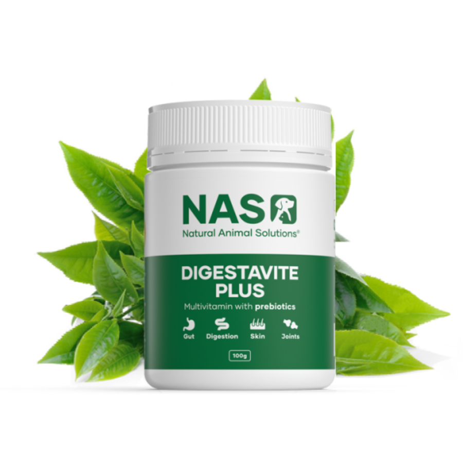DigestaVite Plus - Natural Animals Solutions