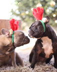 Christmas Antlers for Your Dog