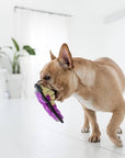 Outward Hound Tough Seamz Cobra