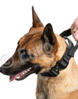 Iron Power Collar by Euro Joe