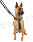 Iron Power Police Leash by Euro Joe