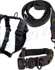 Iron Power Complete Set - Collar + Harness + Leash