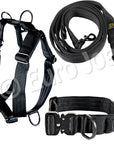 Iron Power Complete Set - Collar + Harness + Leash