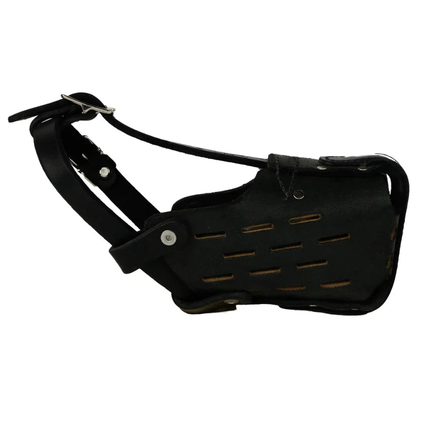 Leather Muzzle