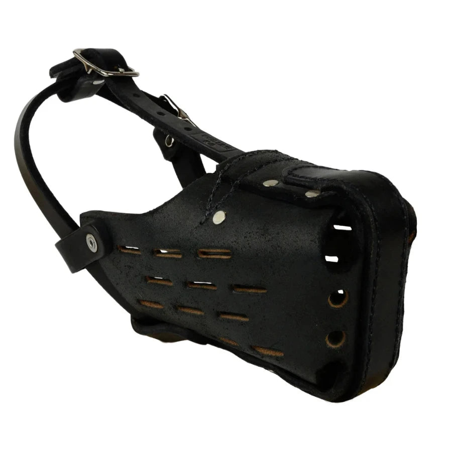 Leather Muzzle