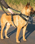 Iron Power Complete Set - Collar + Harness + Leash