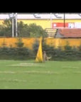 Multi Ball Ball dropper for dogs