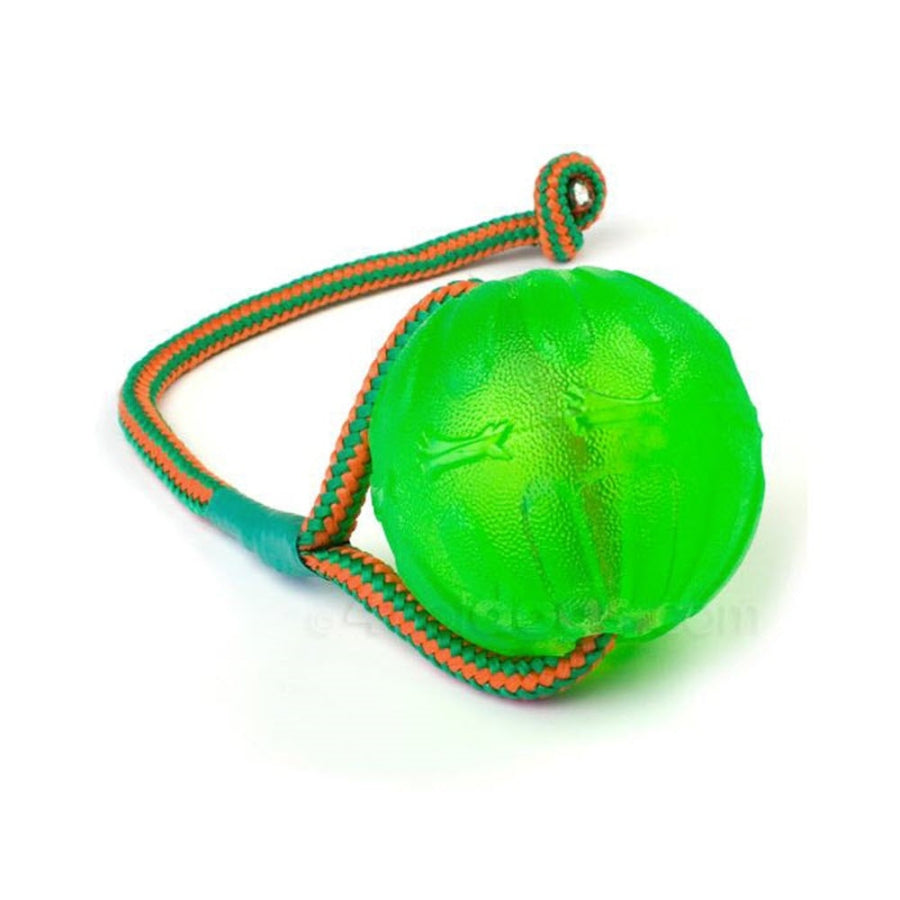StarMark Swing n' Fling Chew Ball – K9 Pro The K9 Professionals
