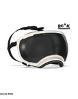 Rex Spec Goggles - V2 Coloured in stock frames