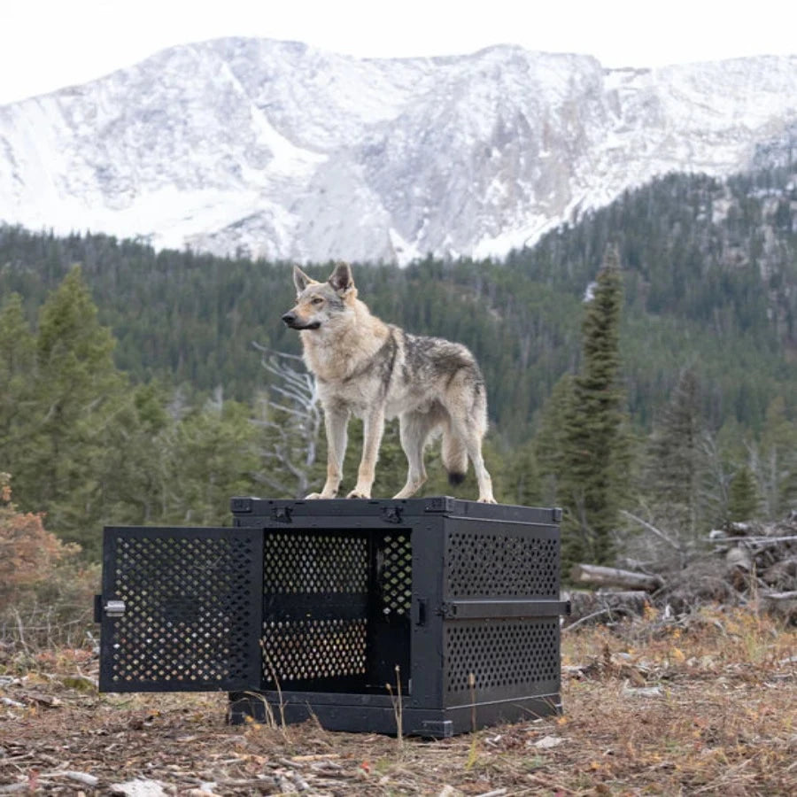 Impact Crates - Collapsible  Crates