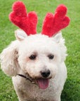 Christmas Antlers for Your Dog