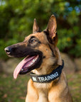 MaxTac Military Dog Collar Black