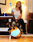 Chuckit! Indoor Shaker Ball