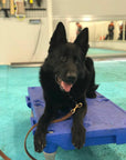 KLIMB Training Platform - BLUE
