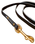 Premium Leather Leash 3/8"