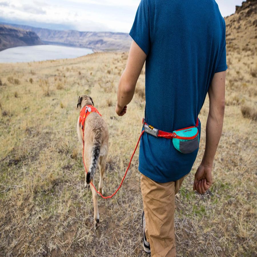 Hiking leash sales