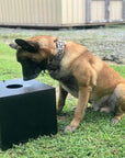 K-9 BSD Reward Scent Box