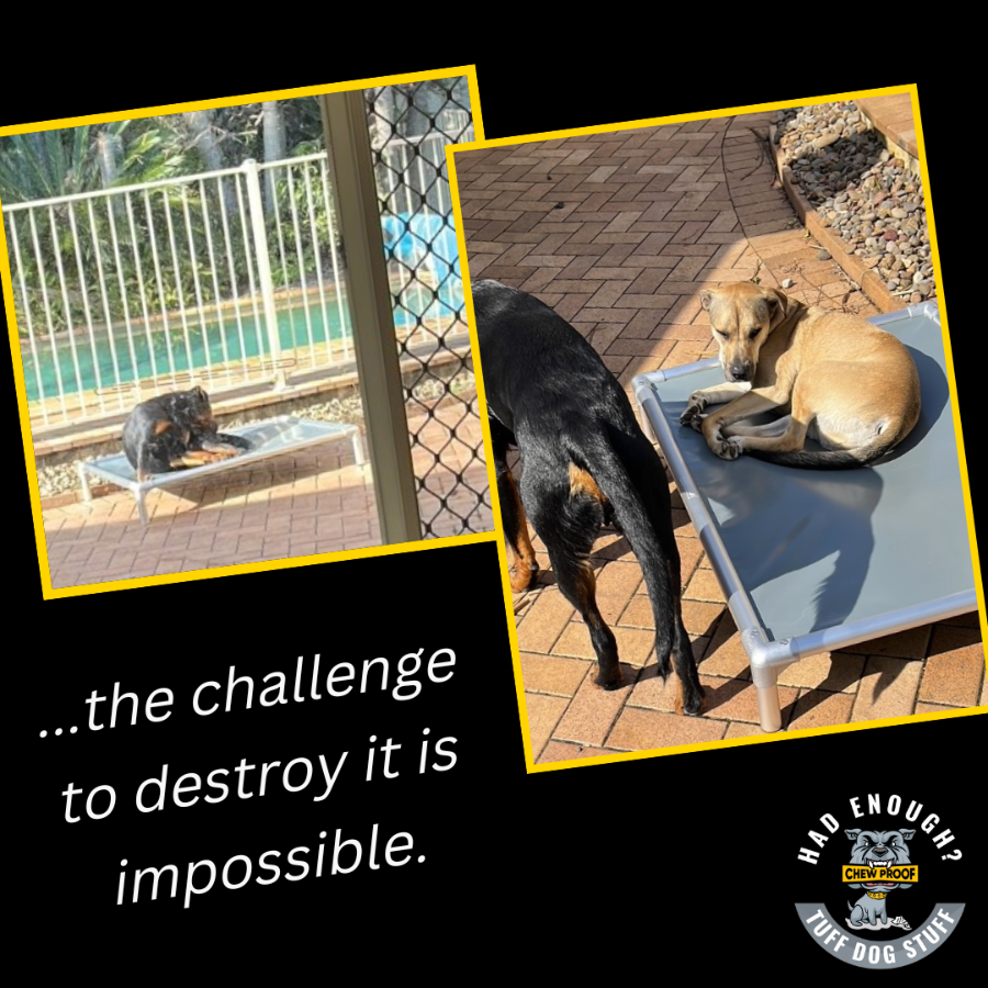 ChewProof Dog Beds