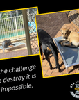 ChewProof Dog Beds