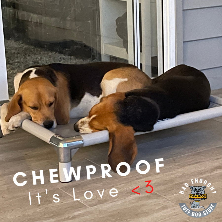 ChewProof Dog Beds