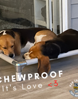 ChewProof Dog Beds